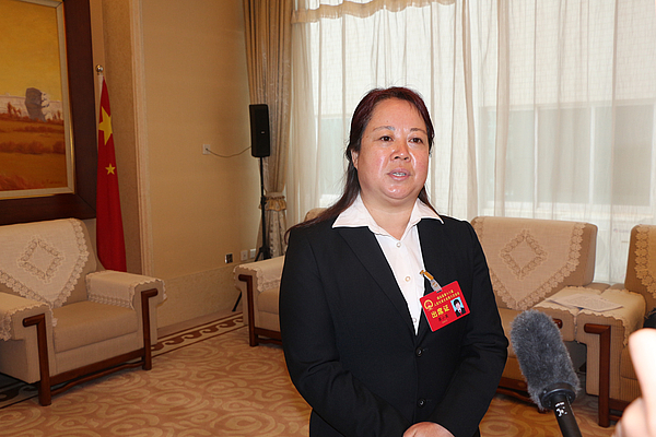 参会代表接受采访